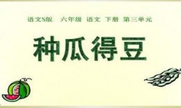 吃瓜ppt,吃瓜群众视角下的PPT盛宴解析